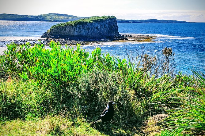 Erupting Blowholes and Ancient Rainforests SOUTH COAST OF SYDNEY PRIVATE TOUR - South Coast in One Long Day: what you’re really signing up for