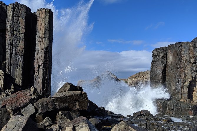 Erupting Blowholes and Ancient Rainforests SOUTH COAST OF SYDNEY PRIVATE TOUR - Sea Cliff Bridge drive: dramatic views without the hike