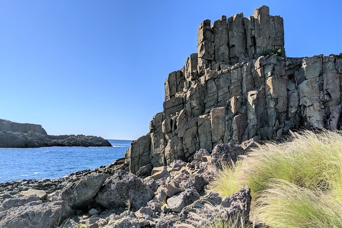Erupting Blowholes and Ancient Rainforests SOUTH COAST OF SYDNEY PRIVATE TOUR - Cathedral Rocks: short and photo-friendly