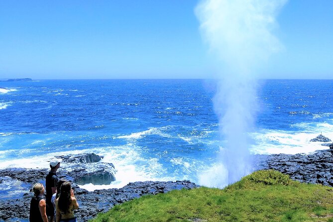 Erupting Blowholes and Ancient Rainforests SOUTH COAST OF SYDNEY PRIVATE TOUR - Stanwell Tops: quick viewpoints with sky and surf energy