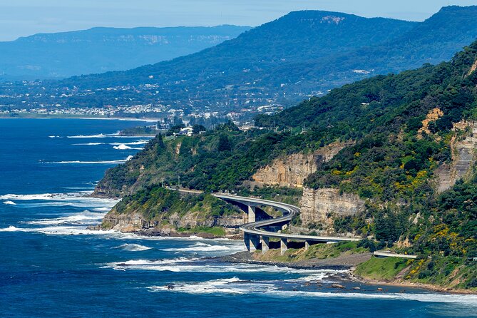 Escape Sydney: Sea Cliff Bridge, Wildlife, Kiama Coast Private - Key tour takeaways