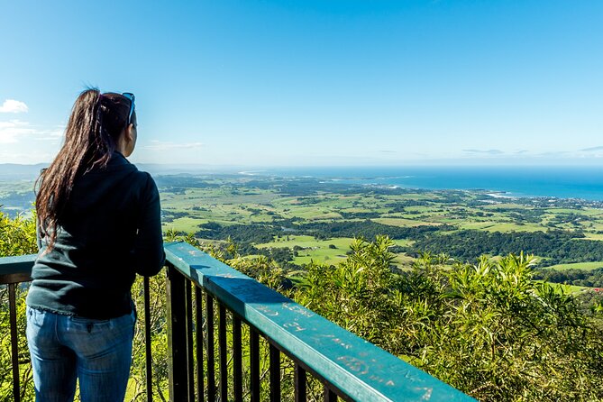 Escape Sydney: Sea Cliff Bridge, Wildlife, Kiama Coast Private - Kiama Blowhole: ocean power, rocks, and big views