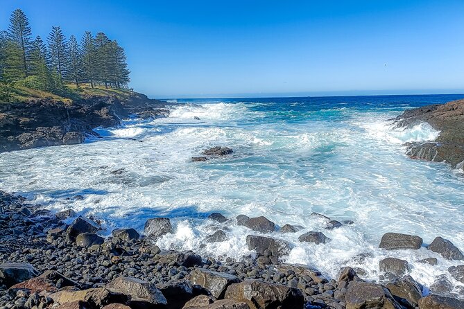 Escape Sydney: Sea Cliff Bridge, Wildlife, Kiama Coast Private - Saddleback Mountain lookout for 270-degree coastal views