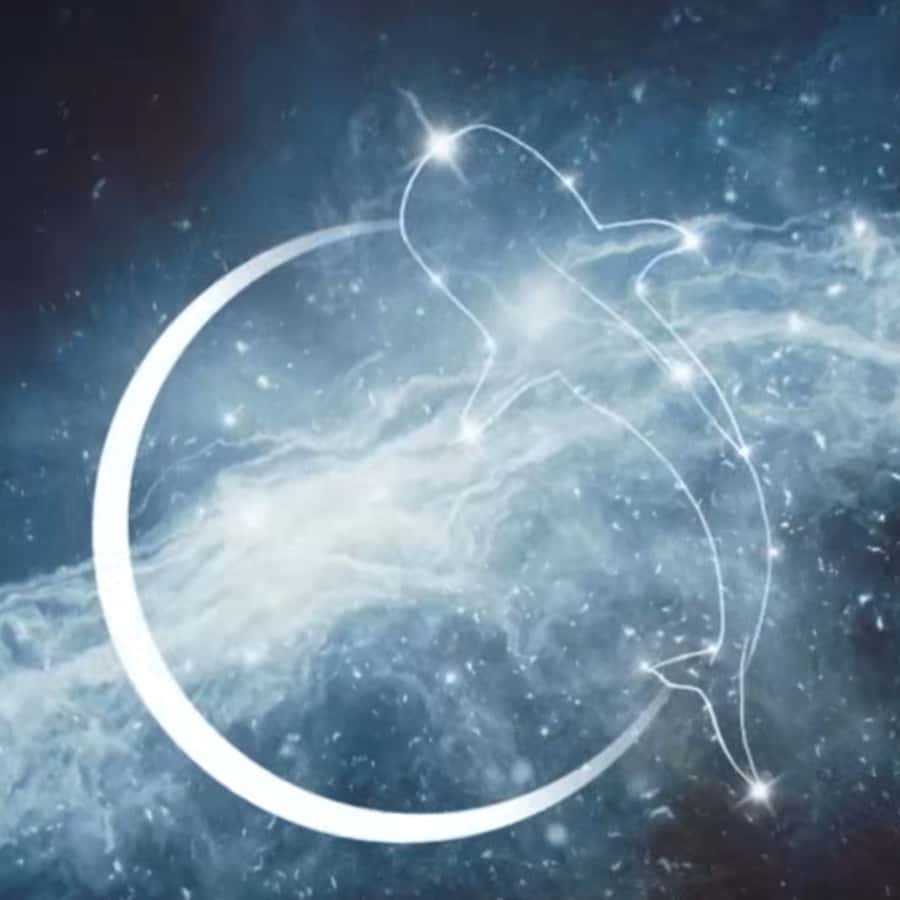 Esperance: Astronomy Night Experience - Premium telescopes with a five-person-per-scope rule