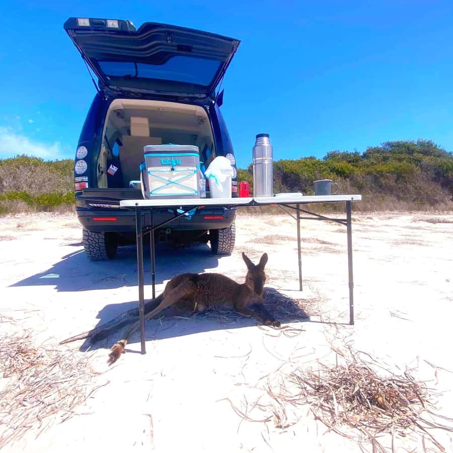 Esperance: Cape Le Grand National Park 4x4 Beach Adventure - Lucky Bay’s white sand and the morning tea pause