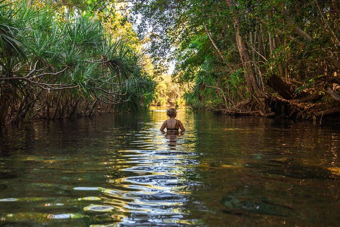 ETHICAL ADVENTURES - 1 Day premium Litchfield tour, small group - Litchfield National Park: waterfalls, viewpoints, and short walk breaks you can handle