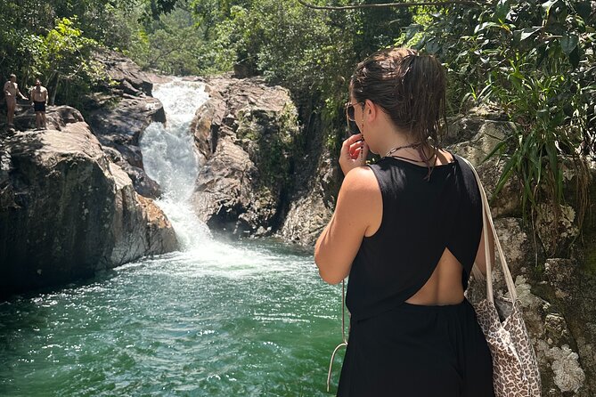 Eungella Platypus Tour - Key highlights you’ll care about