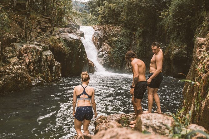 Eungella Platypus Tour - Finch Hatton Gorge: the hike that actually earns your swim