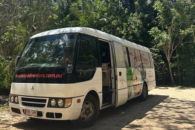 Eungella Platypus Tour - What timing and group size mean for your comfort