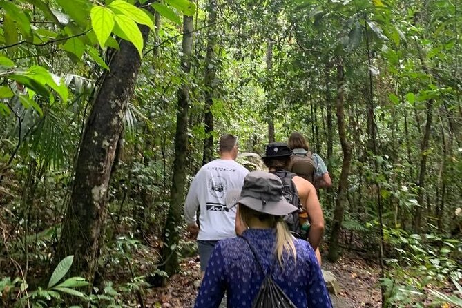 Eungella Platypus Tour - Who should book this and who should rethink it