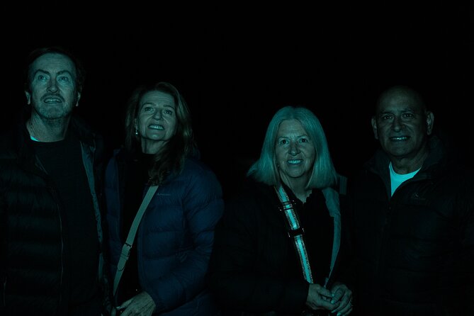 Evening Rainforest & Glow Worm Tour from Gold Coast - Stargazing (if the sky cooperates)