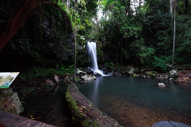 Evening Rainforest & Glow Worm Tour from Gold Coast - Guides and group size: why the small number matters