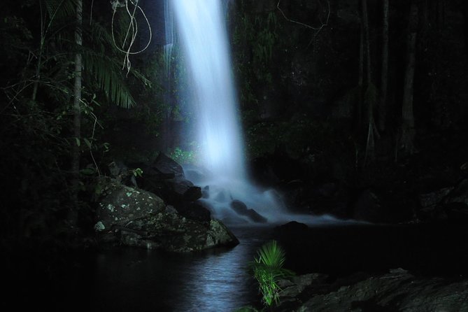 Evening Rainforest & Glow Worm Tour from Gold Coast - The first stop: cakes and a warm drink at Tamborine Mountain