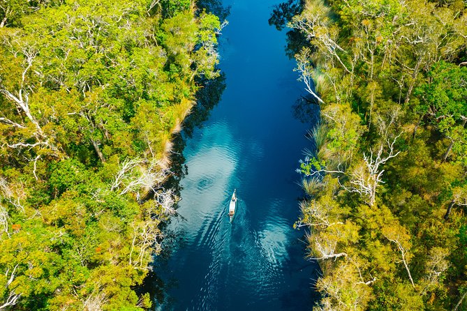 Everglades Explorer - Noosa Everglades Tour - Canoeing upstream and the Harry’s Hut segment: effort, time, and swim chances
