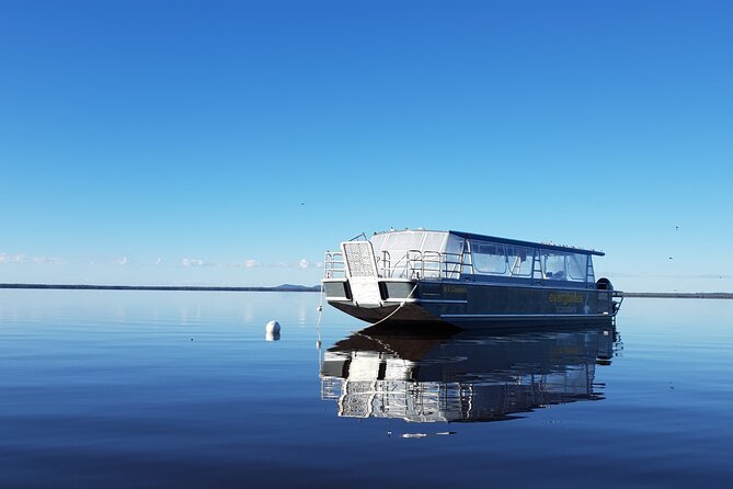Everglades Explorer - Noosa Everglades Tour - Price and value: what $118.35 covers and what to plan for