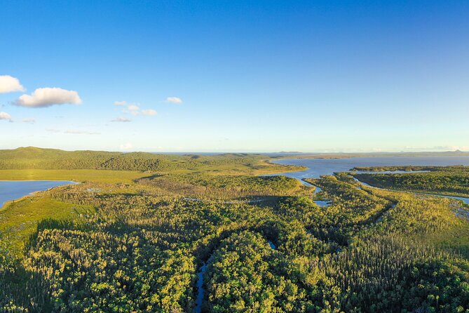 Everglades Explorer - Noosa Everglades Tour - Wildlife and weather reality check (yes, it affects your day)