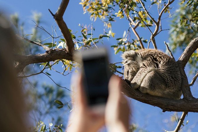 Exceptional Port Lincoln, Seafood and Wildlife Tour - Key highlights worth planning around
