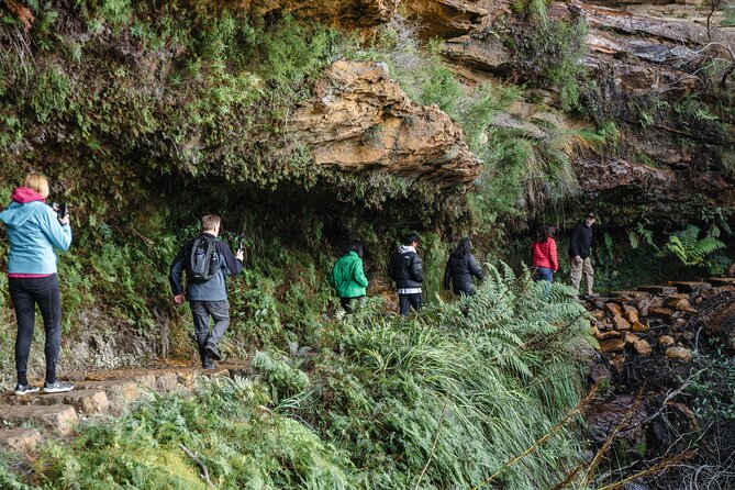 Exclusive Blue Mountains Wildlife and Bushwalk Tour From Sydney - A Tight 10-Hour Loop from Central Sydney