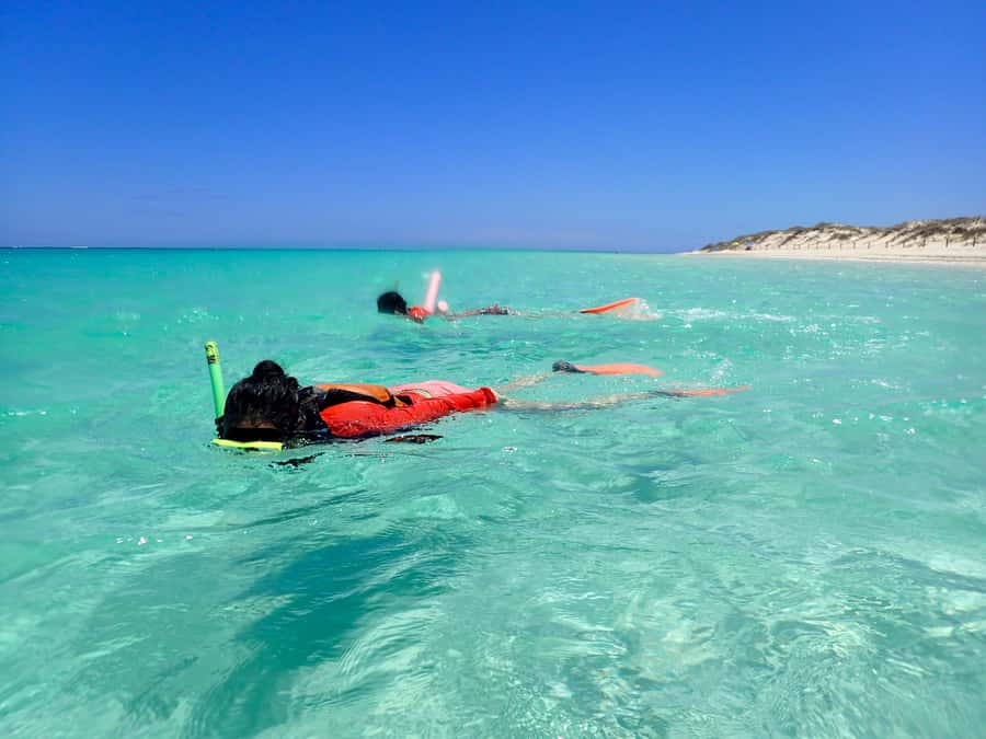 Exmouth: Full day Ningaloo in a Day tour - Why Ningaloo in a Day feels like a real plan, not a checklist