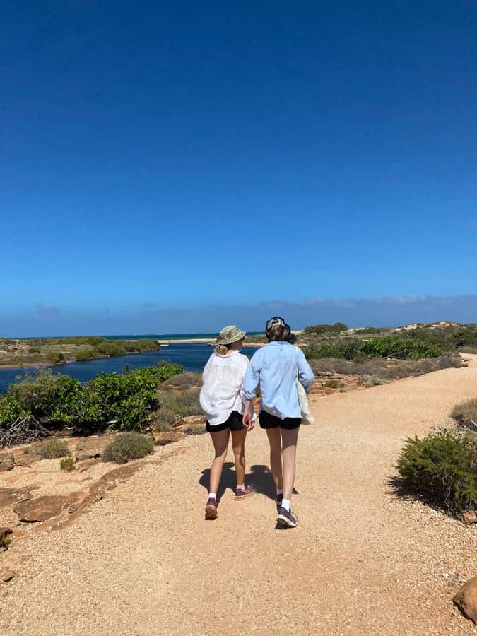 Exmouth: Full day Ningaloo in a Day tour - Highlights you’ll actually care about