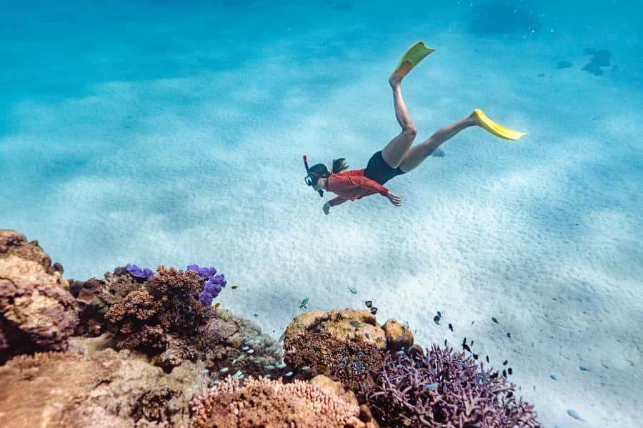 Exmouth: Guided Ningaloo Reef Snorkel Adventure - Pickup from Exmouth: when the day starts (and why timing matters)