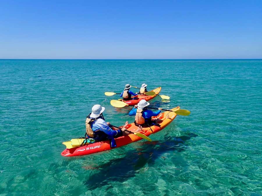 Exmouth: Half Day Turtle Kayak & Snorkel Tour - Key things I’d circle before you book