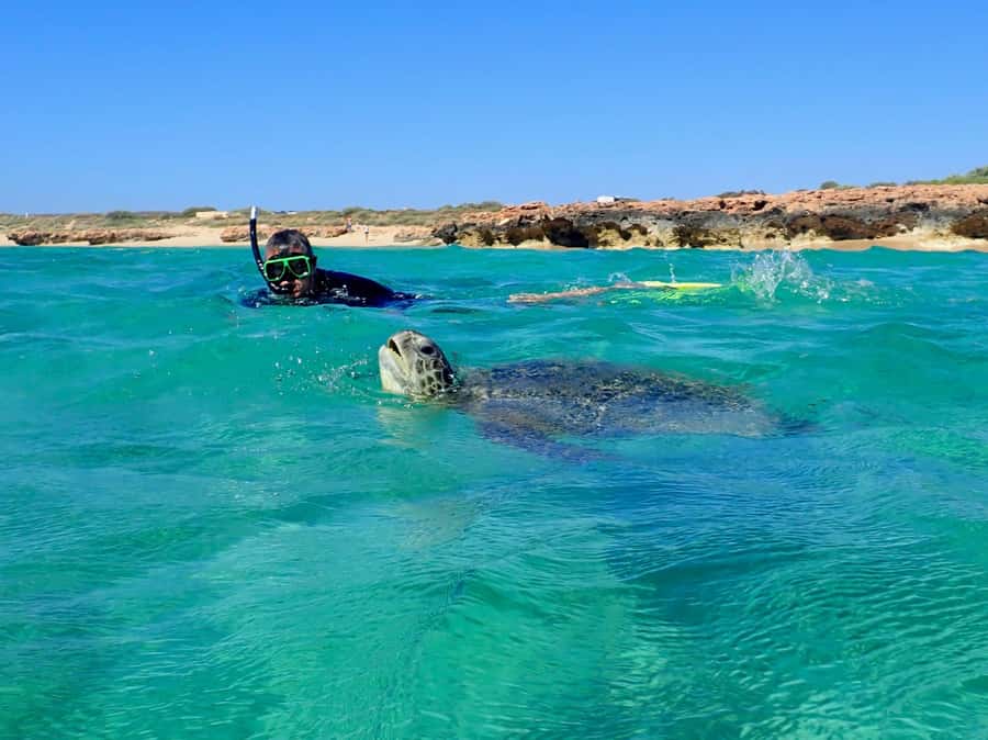 Exmouth: Half Day Turtle Kayak & Snorkel Tour - Why kayaking into Ningaloo feels different than beach snorkeling