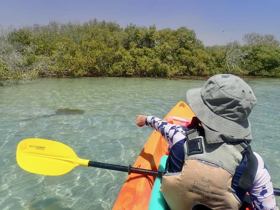 Exmouth: Half Day Turtle Kayak & Snorkel Tour - Getting picked up in Exmouth and set up fast
