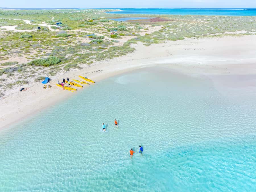 Exmouth: Lagoon Explorer - Full day kayak & Snorkel tour - Price and value: is $198 per person fair?