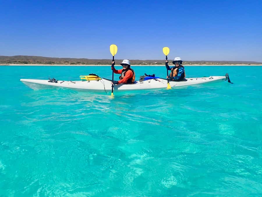 Exmouth: Lagoon Explorer - Full day kayak & Snorkel tour - Fitness level and who this tour suits best