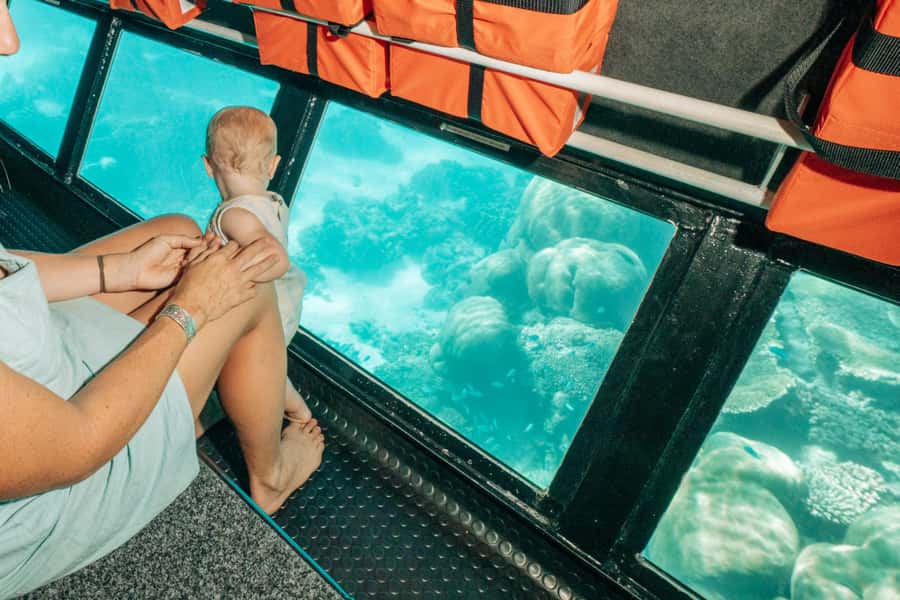 Exmouth: Ningaloo Semi-Submersible Glass Bottom Boat Tour - Who should book this Ningaloo glass boat tour