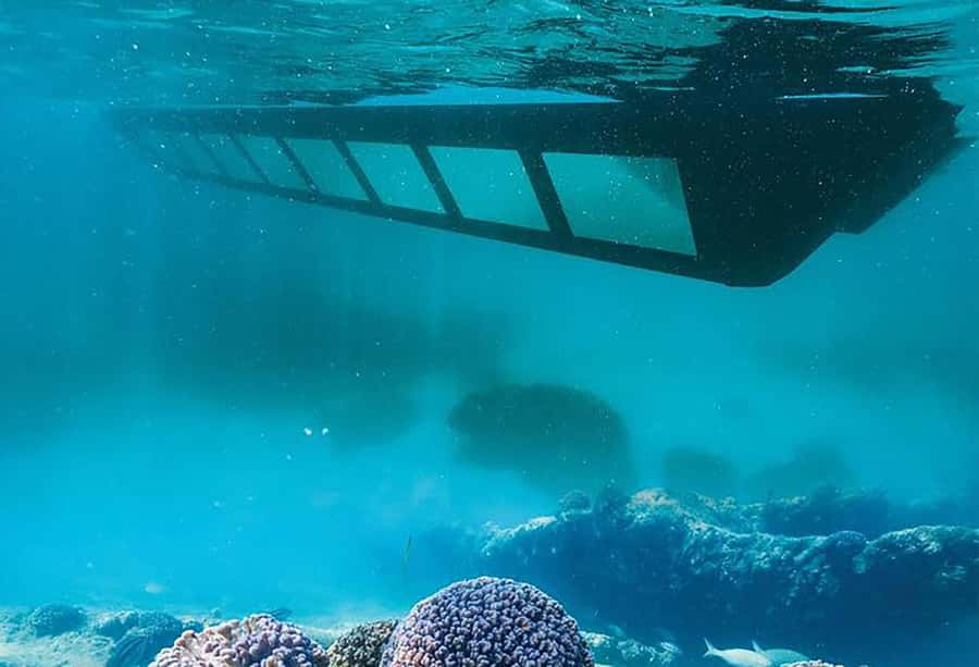 Exmouth: Ningaloo Semi-Submersible Glass Bottom Boat Tour - The bottom line: should you book the Exmouth semi-submersible glass boat?