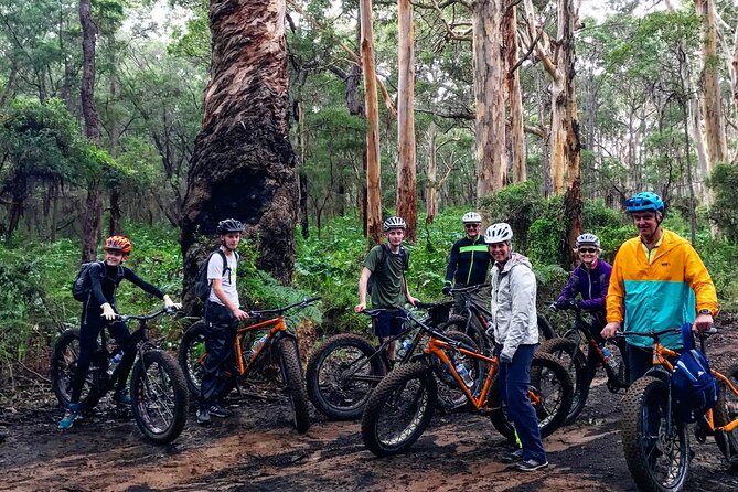 Experience Adventure in the Margaret River Region - Wildlife spotting and snorkeling gear on the water