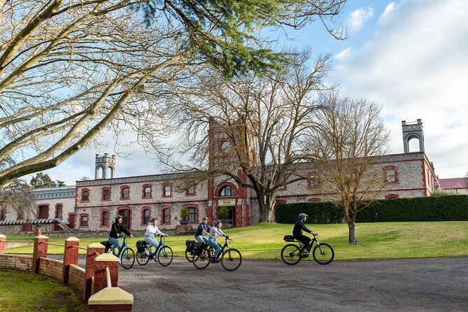 Experience Barossa Valley by E-bike - Back at Yalumba: a private Best of Barossa tasting and picnic for two