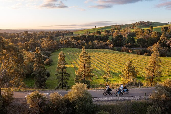 Experience Barossa Valley by E-bike - Price and value: why $240.28 often feels fair