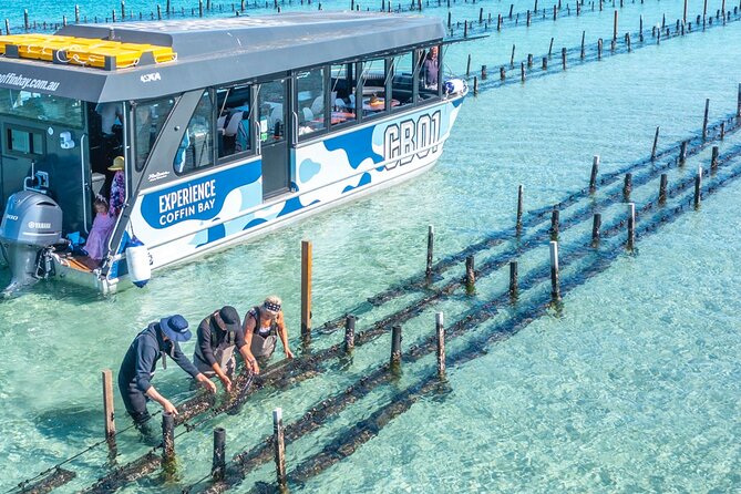 Experience Coffin Bay Oyster Farm and Bay Tour - Key highlights worth knowing
