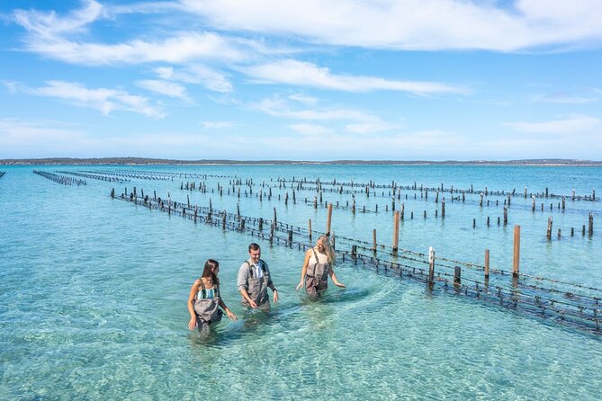 Experience Coffin Bay Oyster Farm and Bay Tour - Why this Coffin Bay oyster tour feels different
