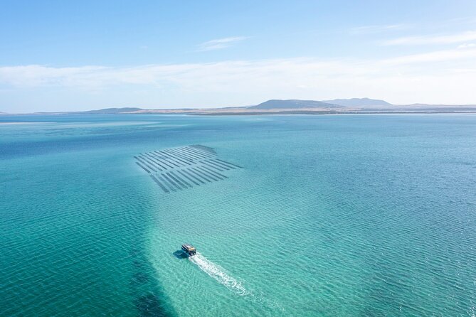 Experience Coffin Bay Oyster Farm and Bay Tour - Getting there: start point, timing, and how the day flows
