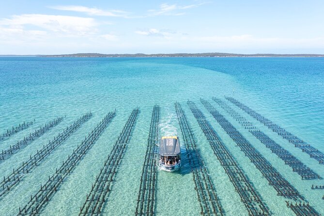 Experience Coffin Bay Oyster Farm and Bay Tour - The boat cruise along Coffin Bay’s coastline