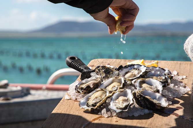 Experience Coffin Bay Oyster Farm and Bay Tour - Oyster farm stops: watching work happen and learning the craft