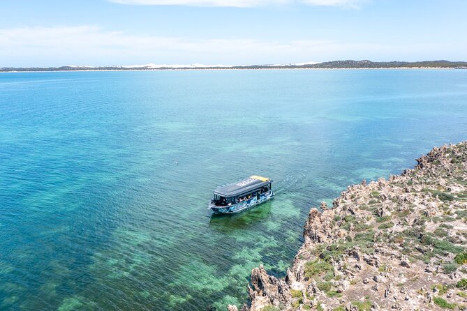 Experience Coffin Bay Short and Sweet Oyster Farm Tour - Nursery oyster farms and the original fixed-rail setup