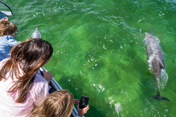 Experience Coffin Bay Short and Sweet Oyster Farm Tour - Eating moment: 6 fresh Coffin Bay Pacific oysters and how to enjoy them