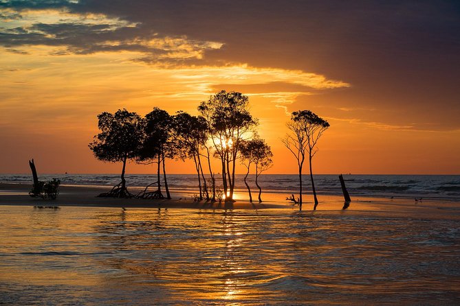 Explore Delightful Darwin: Self-Guided Audio Tour - Key highlights before you start