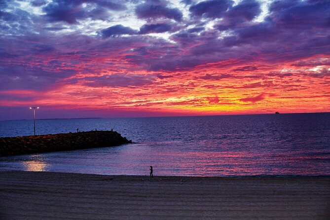 Explore Perth Beaches at Sunset by Minibus - Kings Park at night: skyline views plus a sound healing pause