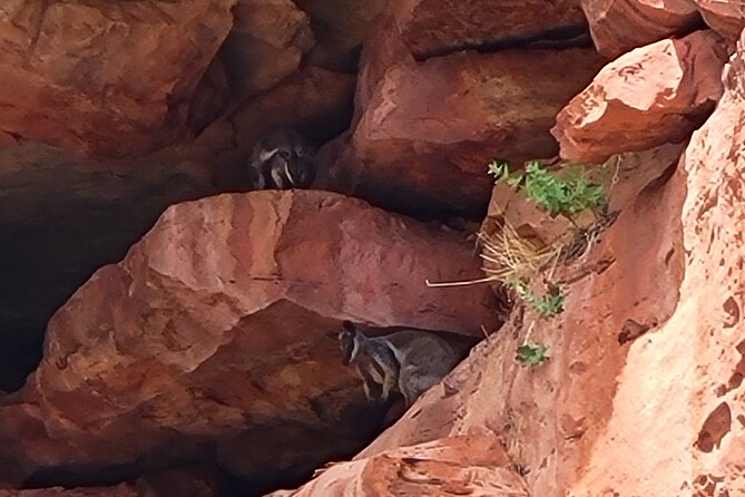 Explore the Hidden Gorges: Kalbarri 4WD, Hike, Canoe Experience - The value of doing canoe + hike + 4WD in one half-day