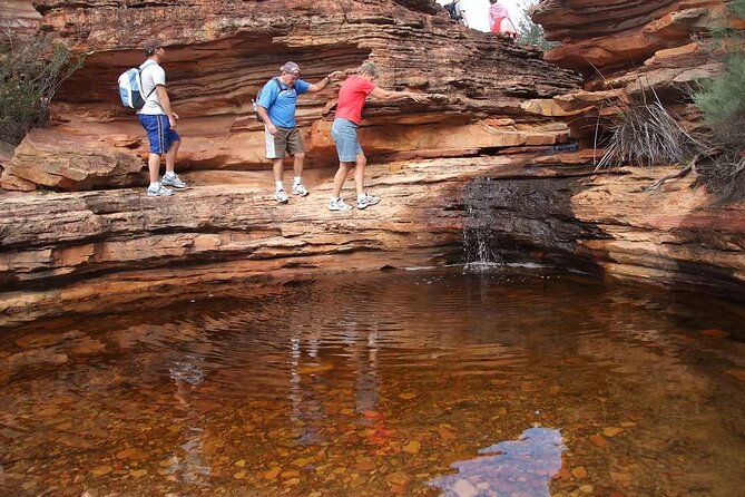 Explore the Hidden Gorges: Kalbarri 4WD, Hike, Canoe Experience - The seasonal waterfall hike through a hidden gorge