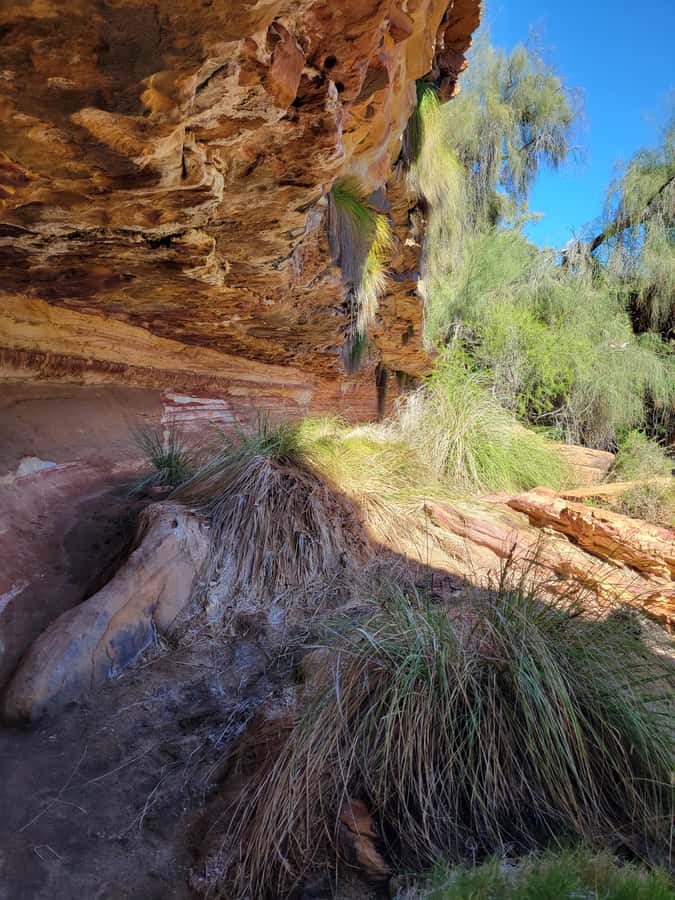 Explore the Hidden Gorges: Kalbarri N.P, 4WD, Hike, Canoe - Key Highlights That Make This Tour Worth It