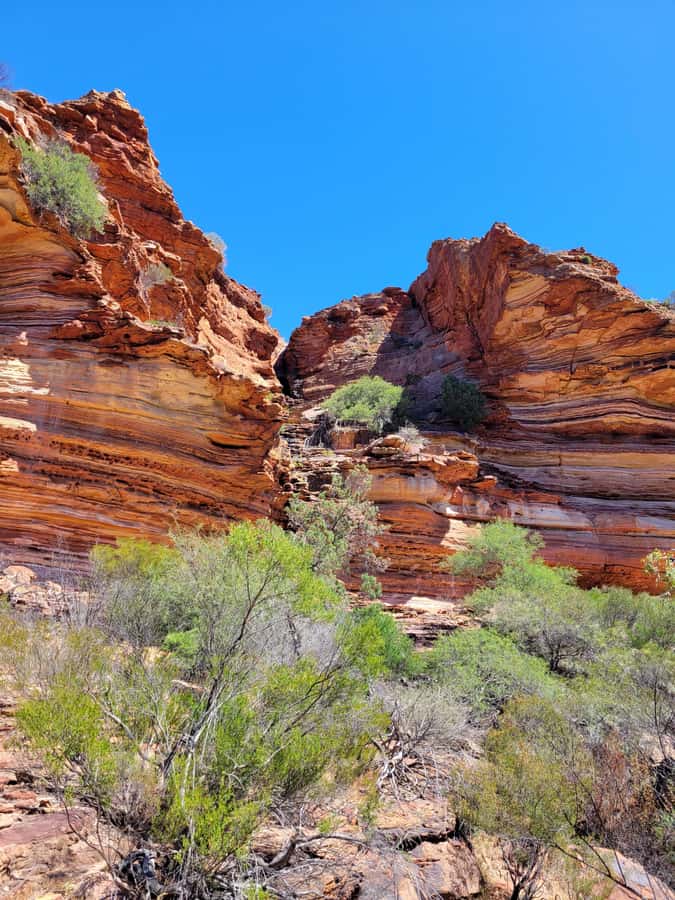 Explore the Hidden Gorges: Kalbarri N.P, 4WD, Hike, Canoe - Swimming in Secluded Waterholes (and Where to Focus)