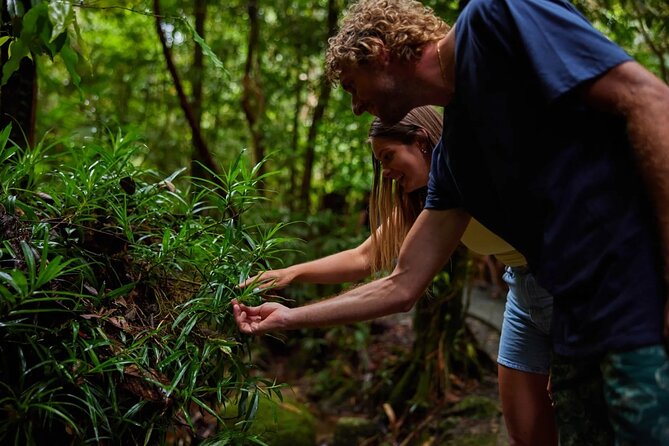 Explorer Tour by Cairns Waterfalls - Price and value: what $106.87 buys you (and what it doesn’t)