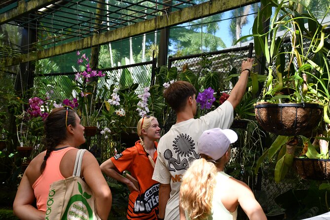 Explorer Tour by Cairns Waterfalls - Tips to get the best day out of Crystal Cascades and Behana Gorge